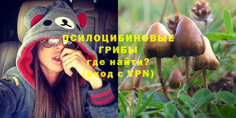 Галлюциногенные грибы Magic Shrooms Никольск