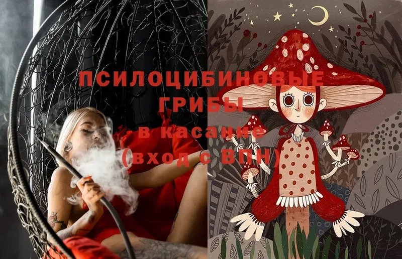 Галлюциногенные грибы Psilocybine cubensis  Никольск 